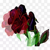 玫瑰科花卉设计切花玫瑰刺