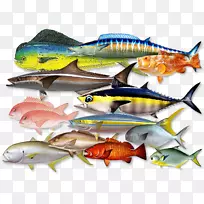 沙丁鱼，鲭鱼，产品，凤尾鱼，油性鱼-马氏鱼