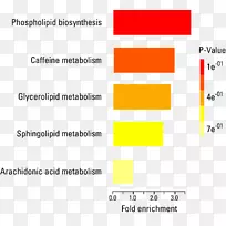 代谢组学、脂质组学、胞体代谢谱：代谢物微分分析仪的方法和协议