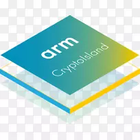 ARM体系结构，计算机安全，逆向工程，ARM皮质-m4三星集团-ARM芯片