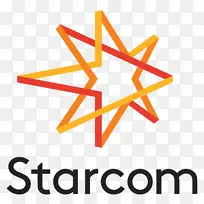 Starcom MediaVest集团媒体策划大众集团-Panton