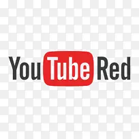 YouTube优质的YouTube营销策略：如何创建成功的YouTube频道，获得成千上万的订户，并以数百万的视频浏览量赚钱！YouTube孩子-YouTube