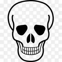 头骨和骨头骨和十字骨人类头骨象征-头骨