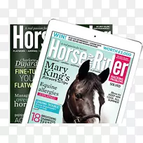 马广告品牌杂志字体-骑马人