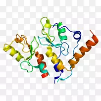 BMI 1多梳组蛋白环指结构域干细胞
