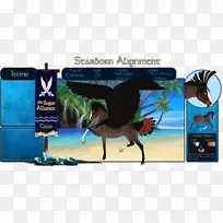 广告动物喙-黑鹦鹉