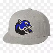 棒球帽卡尔弗-斯托克顿学院-棒球帽