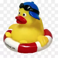 橱窗里的鸭子橡胶鸭黄色玩具-鸭子