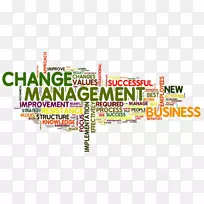 变革管理企业组织发展战略规划变革管理