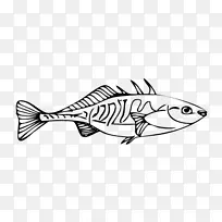 鱼轮廓剪贴画.鱼的黑色轮廓