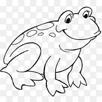 树蛙着色书克米特青蛙蟾蜍卡通青蛙