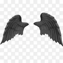 png图片EHC黑色翅膀Linz剪贴画图片下载-天使