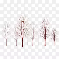 榆树枝条纸树