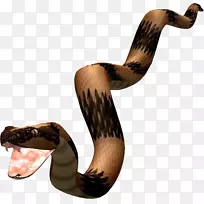 png图片蛇图片动物阿达图姆-动物