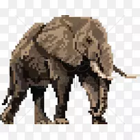 象牙、草食动物-大象插图