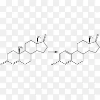 芳香化酶抑制剂睾酮雌二醇雌激素