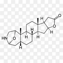 睾酮合成类固醇雄激素