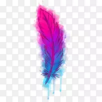 水彩花卉png图片水彩画透明图像水彩羽毛