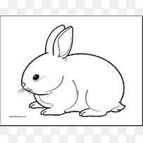 白兔荷兰兔夹艺术-兔子剪贴画
