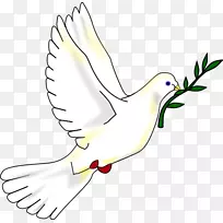 鸽子作为剪贴画的象征-和平鸽子
