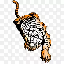 虎纹身闪光黑豹狮身艺术纹身PNG透明图像