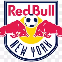 红牛竞技场，纽约红牛学院，MLS，纽约红牛II-足球