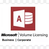徽标产品设计微软公司品牌windows server-microsoft access徽标