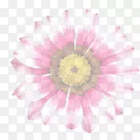 粉红色的花.xchng普通的雏菊形象-花