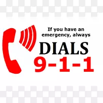 标志消防处品牌紧急字体-拨打911