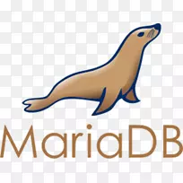MariaDB MySQL Amazon关系数据库服务-叉