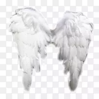 天使杰基弗里特直觉治疗心灵，身体和灵魂，天使，天堂，天使