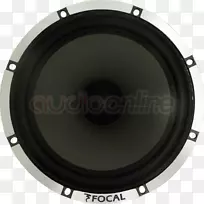 Llanquihue扬声器弹性焦点-jmlab组件扬声器-Bocinas