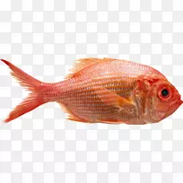 北红鱼摄影格蒂图片食物-健康