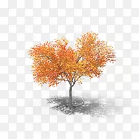 三维建模树三维计算机图形秋季Autodesk 3DS max