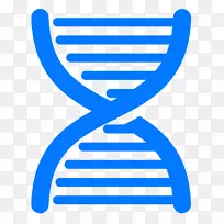 双螺旋：发现dna人类基因组结构的个人说明核酸双螺旋-科学