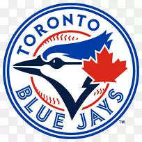 多伦多蓝鸟MLB标志棒球-棒球