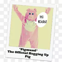 猪吉祥物美国盛装猪