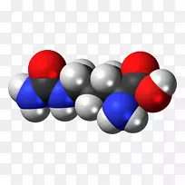 瓜氨酸膳食补充剂一氧化氮氨基酸精氨酸-1