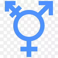 跨性别旗帜变性人纪念日国际跨性别能见度日彩虹旗-等号