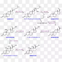 胆固醇孕酮醛固酮脑利钠肽可伸缩载体图形.胆碱雌激素