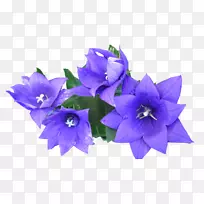 png图片剪辑艺术图片下载-蓝色花朵
