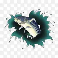 金鱼剪贴画海洋生物-锦鲤鱼画