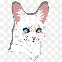 家短毛猫素描