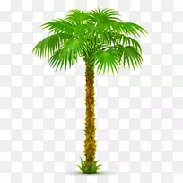 剪贴画棕榈树png图片加州棕榈树
