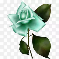 花园玫瑰剪贴画格温丁尼森格温10png图片-蓝色玫瑰剪贴画