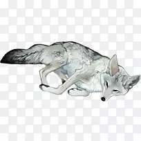 灰狼数码艺术插图-黑白狼