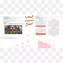 Jupyter数据图表计算机软件
