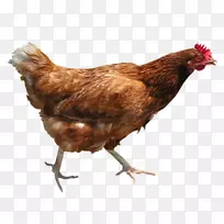 鸡和雏鸡咖喱png图片鸡作为食物