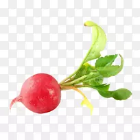 png图片蔬菜剪贴画食品蔬菜