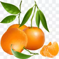 橘子图形剪贴画.橘子